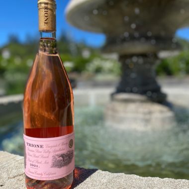A bottle of Trione Rosé wine sitting in front of a water fountain outside with tree bushes in background