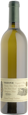 Wine bottle shot