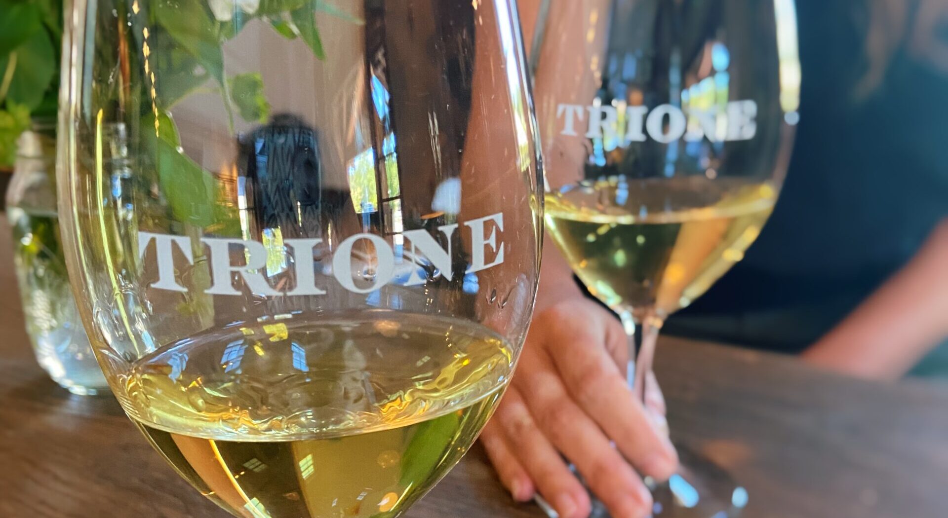 Russian River Valley Chardonnay wine tasting