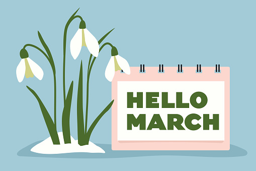 hello march written in a calendar and snowdrops as a symbol of early spring, renewal and new beginnings