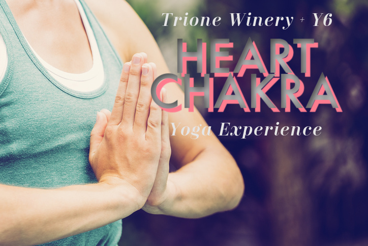 YogaSix at Trione Winery with Yin Yoga Heart Chakra Harvest Flow