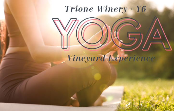 YogaSix Vineyard Experience at Trione Winery