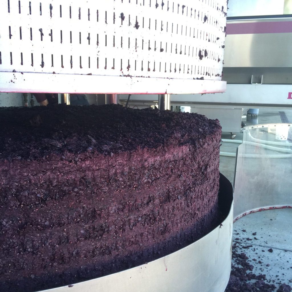 The "Cake" of the Syrah grapes being pressed off before going into barrel. 