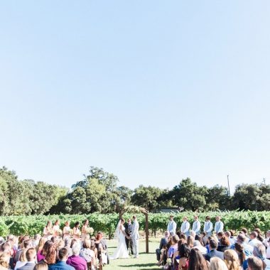 A wedding in the vineyards